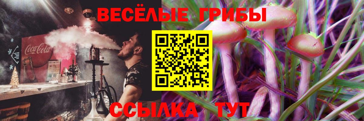 Псилоцибиновые грибы ЛСД  Вход с VPN  цены   Кизляр 